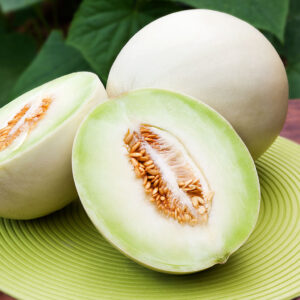 Green Cantaloupe