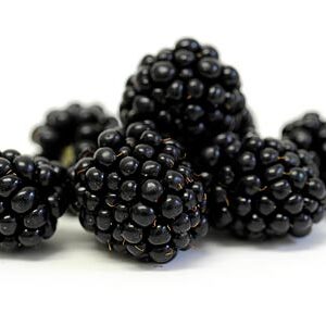 Blackberries 18 oz