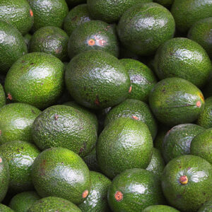 Avocado (each)