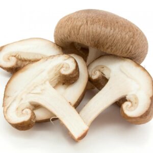 Mushroom (large box)