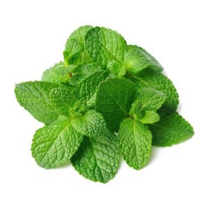 Mint