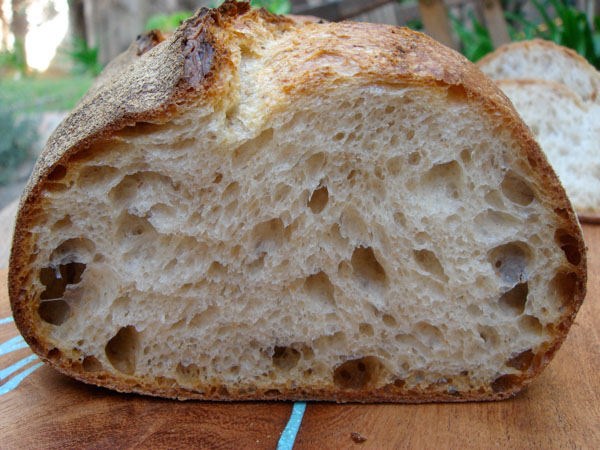 Perla Sourdough Bread