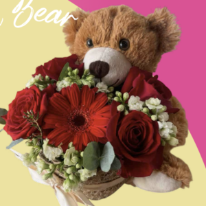 Little Bear