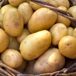 Potatoes bag 9lbs