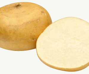Jicama (each)