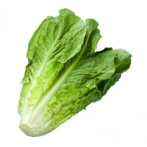 Romaine Hearts Lettuce (3 pack)