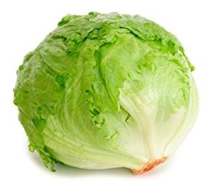 Iceberg Lettuce