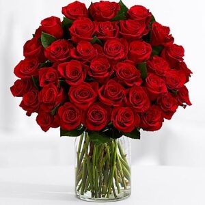 Three Dozen Red Roses