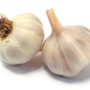 Garlic (4 pack)