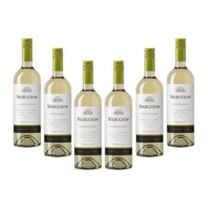 Seleccion Concha & Toro White Wine 6/750 ml