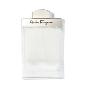 Salvatore Ferragamo Pour Homme 100 ml