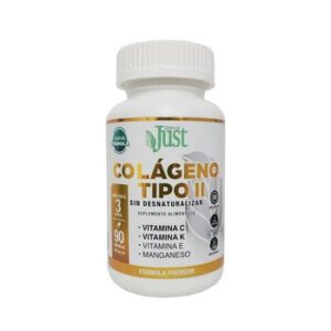 Collagen Tipo II 90 Capsules