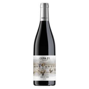 Cepa 21 Red Wine 750 ml