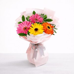Bright Gerbera Daisies — Cabo Delivery flowers in Cabo San Lucas