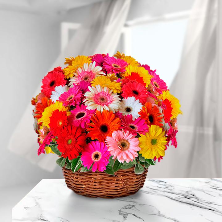 Gerbera Passion Basket — Cabo Delivery flowers in Cabo San Lucas