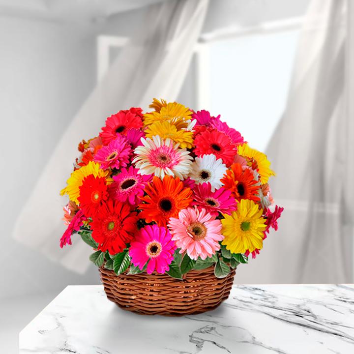 Gerbera Passion Basket — Cabo Delivery flowers in Cabo San Lucas