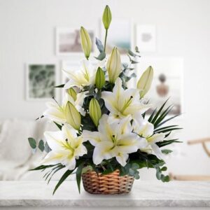 Charmed Lily Basket — Cabo Delivery flowers in Cabo San Lucas