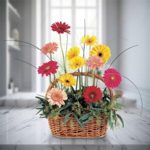 Colorful Gerbera Basket — Cabo Delivery flowers in Cabo San Lucas