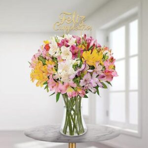 Birthday Colors Alstroemeria Vase — Cabo Delivery flowers in Cabo San Lucas
