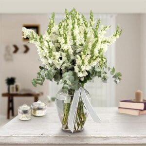 Snapdragon Glass Vase — Cabo Delivery flowers in Cabo San Lucas