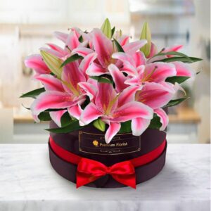 Pink Lily Box — Cabo Delivery flowers in Cabo San Lucas