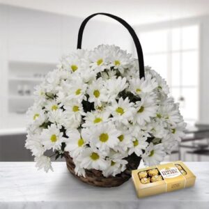 Tender Daisy & Chocolate Basket — Cabo Delivery flowers in Cabo San Lucas